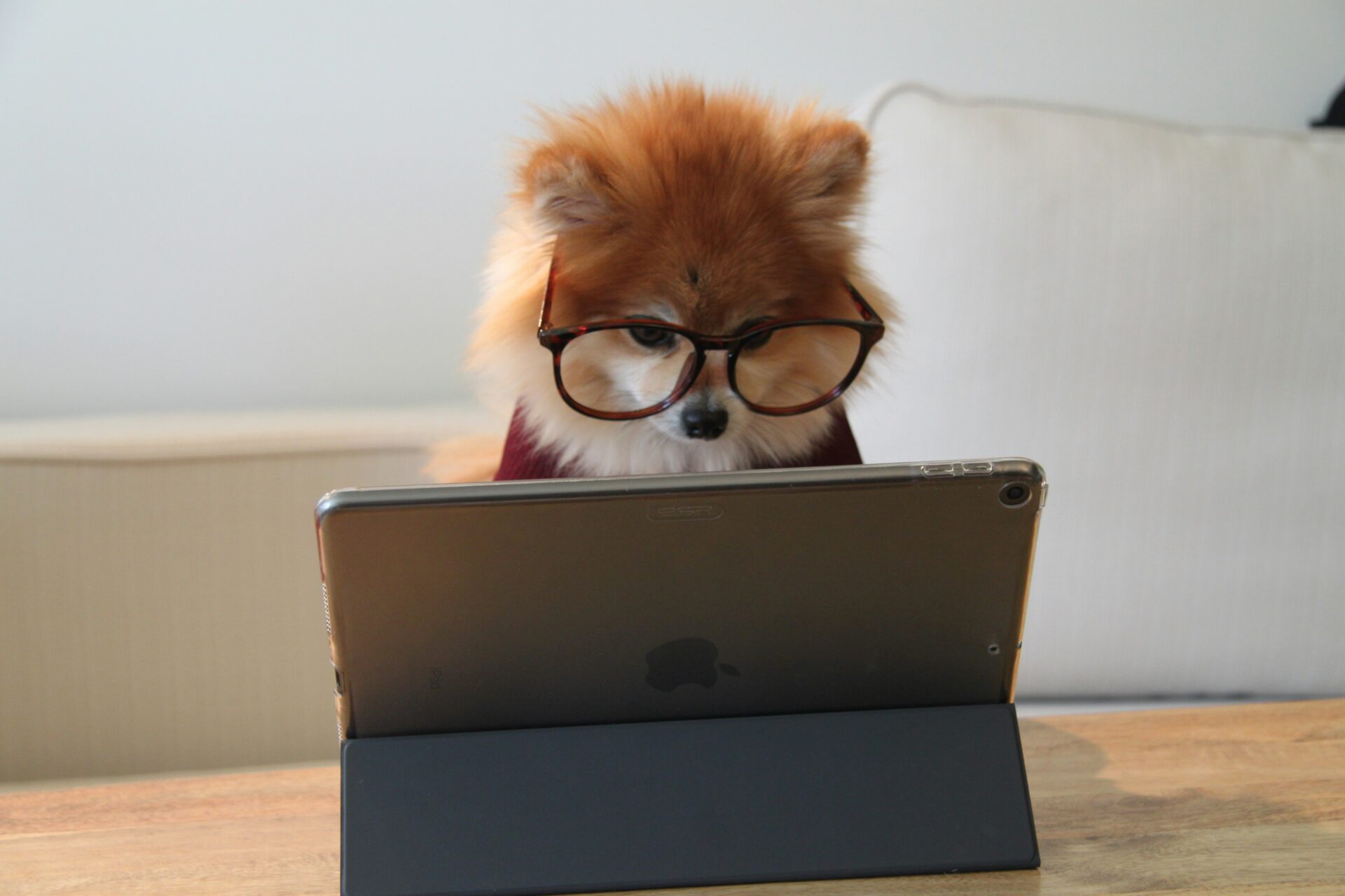 The New Skills Every UX Designer Needs